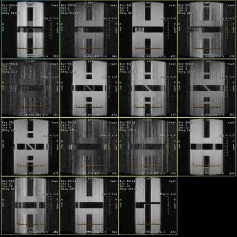 FSE and GRE Artifact